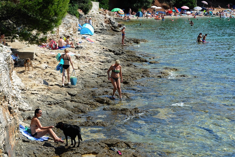 Plaža za pse na Saccorgiani